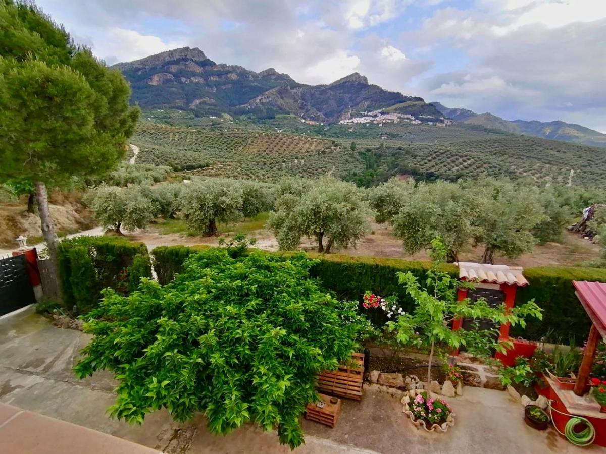 Casa El Acebuche Holiday home *